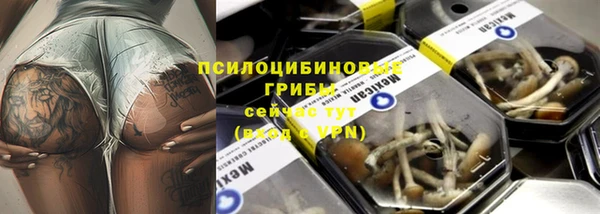 ПСИЛОЦИБИНОВЫЕ ГРИБЫ Абаза