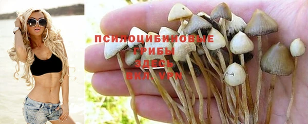 твердый Алексеевка