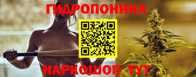 гашик Тверь