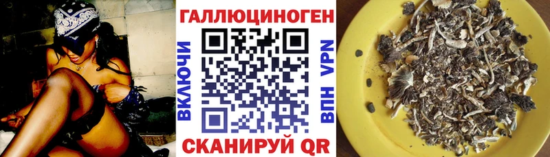 гидра   Урюпинск  Псилоцибиновые грибы MAGIC MUSHROOMS 