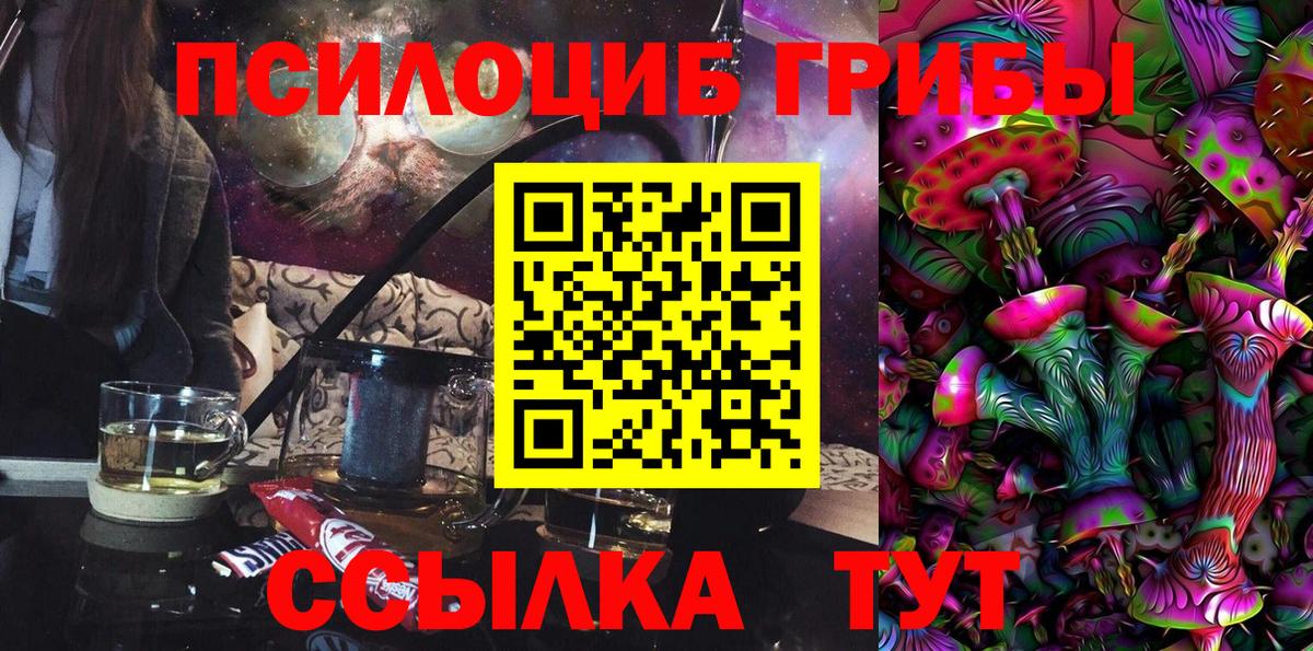 Галлюциногенные грибы Psilocybine cubensis  Вход с VPN  Урюпинск 